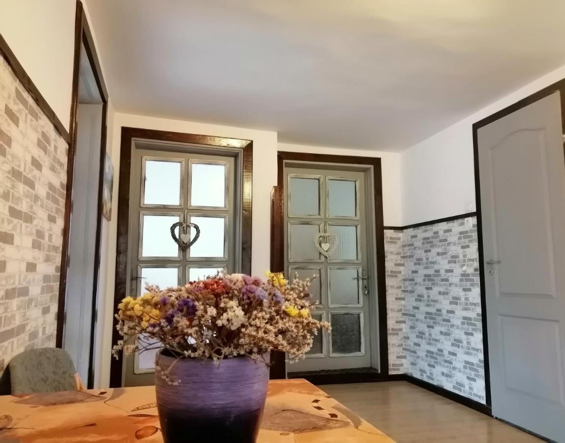 Apartament Sarco Villa Vatra Dornei Exterior photo